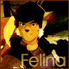 An icon of Felina piloting her chopper with the text Felina