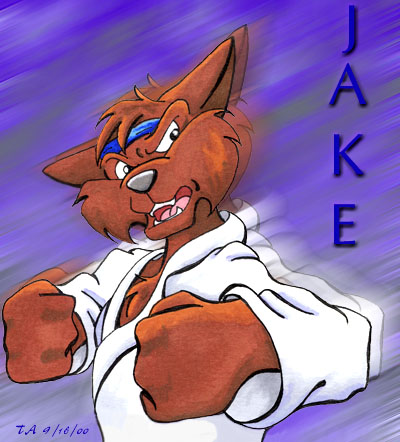 Art of Jake in his gi and taking a fighting pose