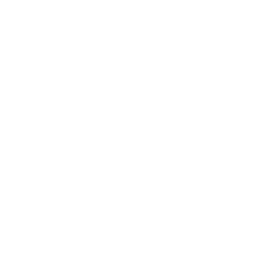 Art of the TurboKat swooping across the sky with the Christmas star